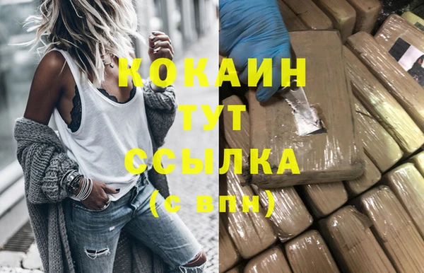 хмурый Пересвет
