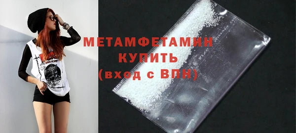 хмурый Пересвет