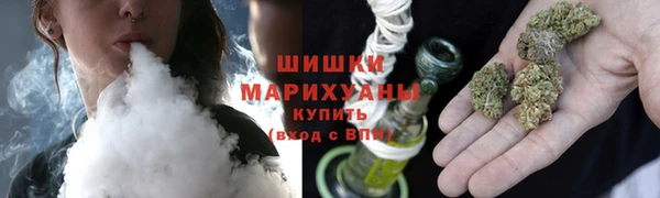 хмурый Пересвет