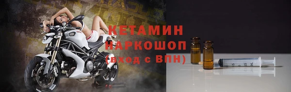 хмурый Пересвет