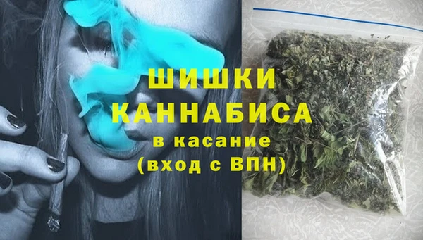 хмурый Пересвет