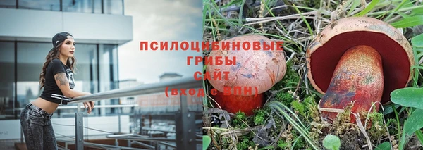 а пвп мука Домодедово