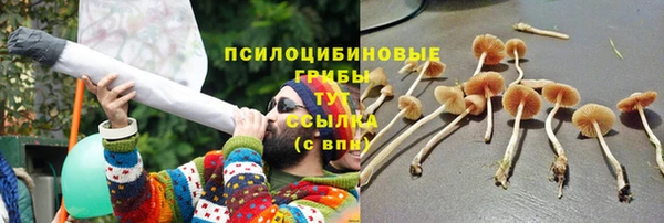дурь Переславль-Залесский