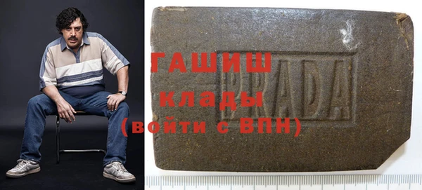 хмурый Пересвет