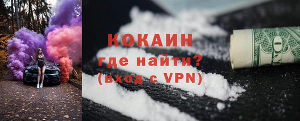 хмурый Пересвет