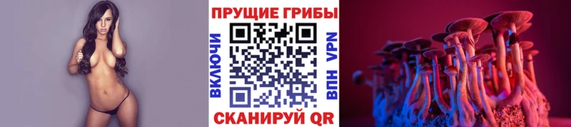 mega ссылка  Балтийск  Галлюциногенные грибы GOLDEN TEACHER 