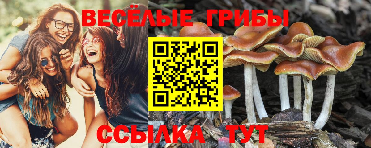 ГЕРОИН  Меф МЯУ МЯУ кристаллы  ГАШИШ  МЕТ  Балтийск  Канабис 