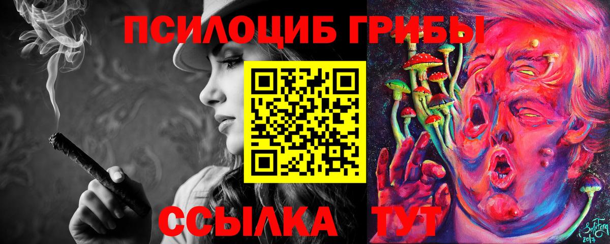 Галлюциногенные грибы ЛСД Балтийск