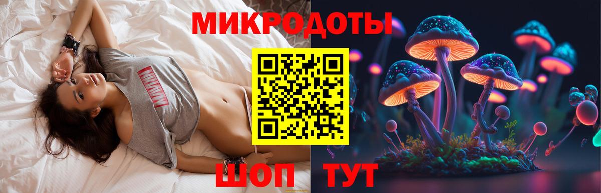 Галлюциногенные грибы MAGIC MUSHROOMS  Вход с VPN  Балтийск 
