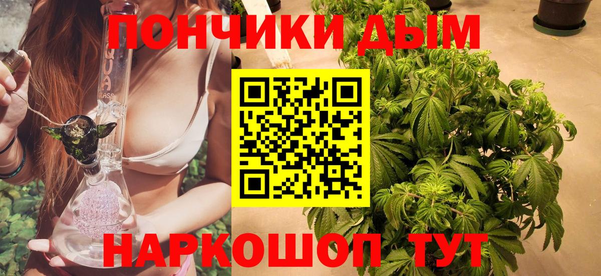 Балтийск  Бошки марихуана сатива  Канабис индика  Вход с VPN  Конопля VHQ 